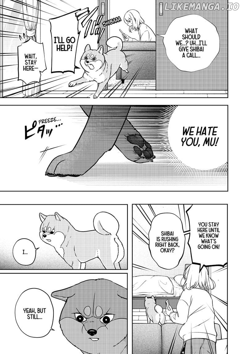 Shiba Inu Rooms Chapter 10 - page 21