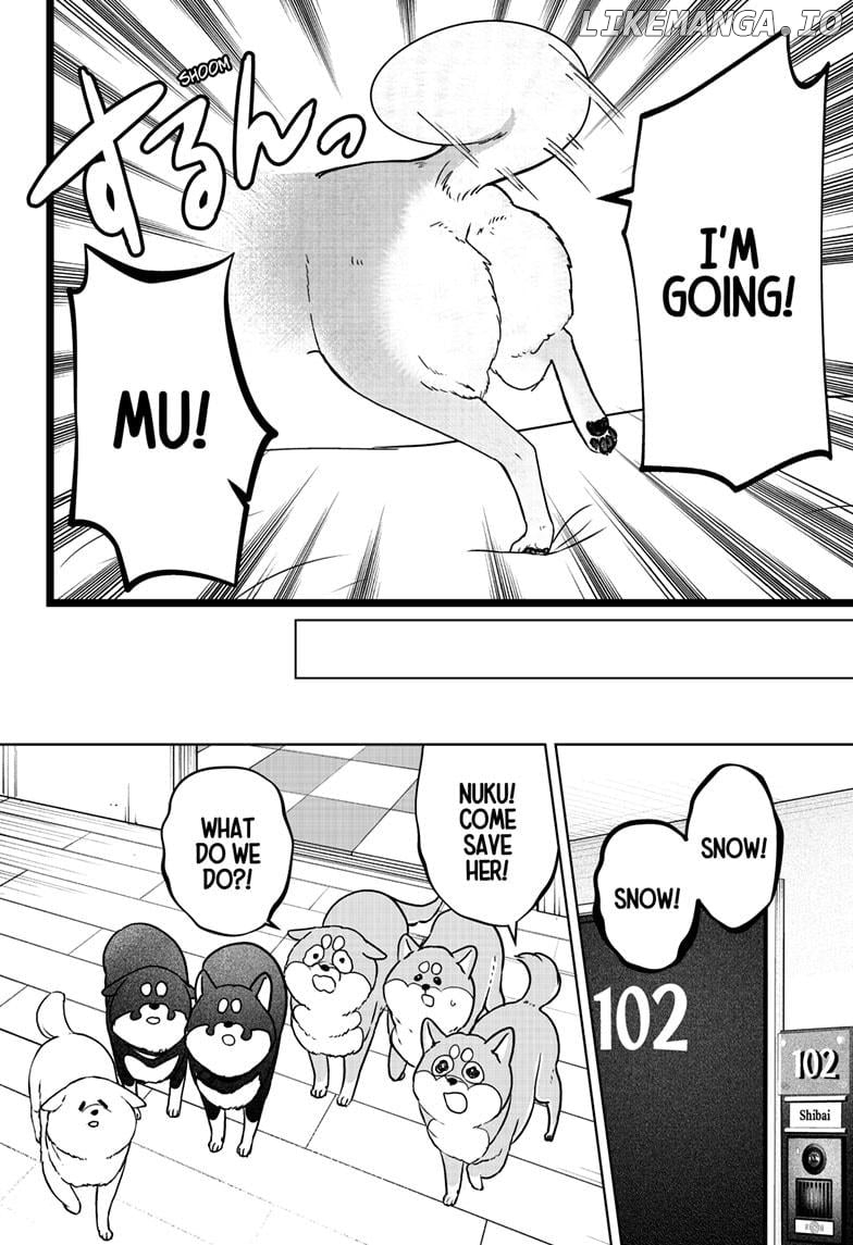 Shiba Inu Rooms Chapter 10 - page 22