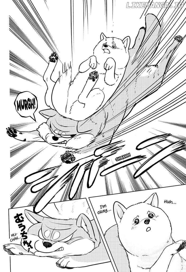 Shiba Inu Rooms Chapter 10 - page 24