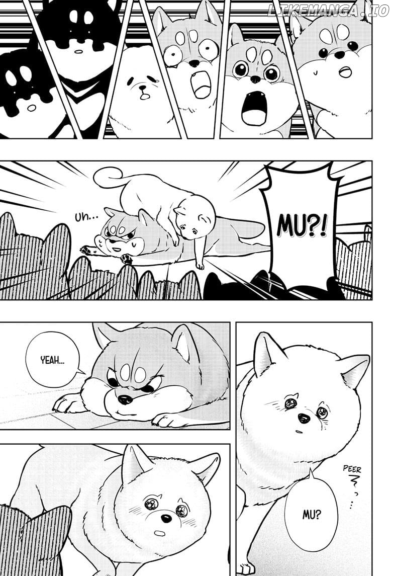 Shiba Inu Rooms Chapter 10 - page 25