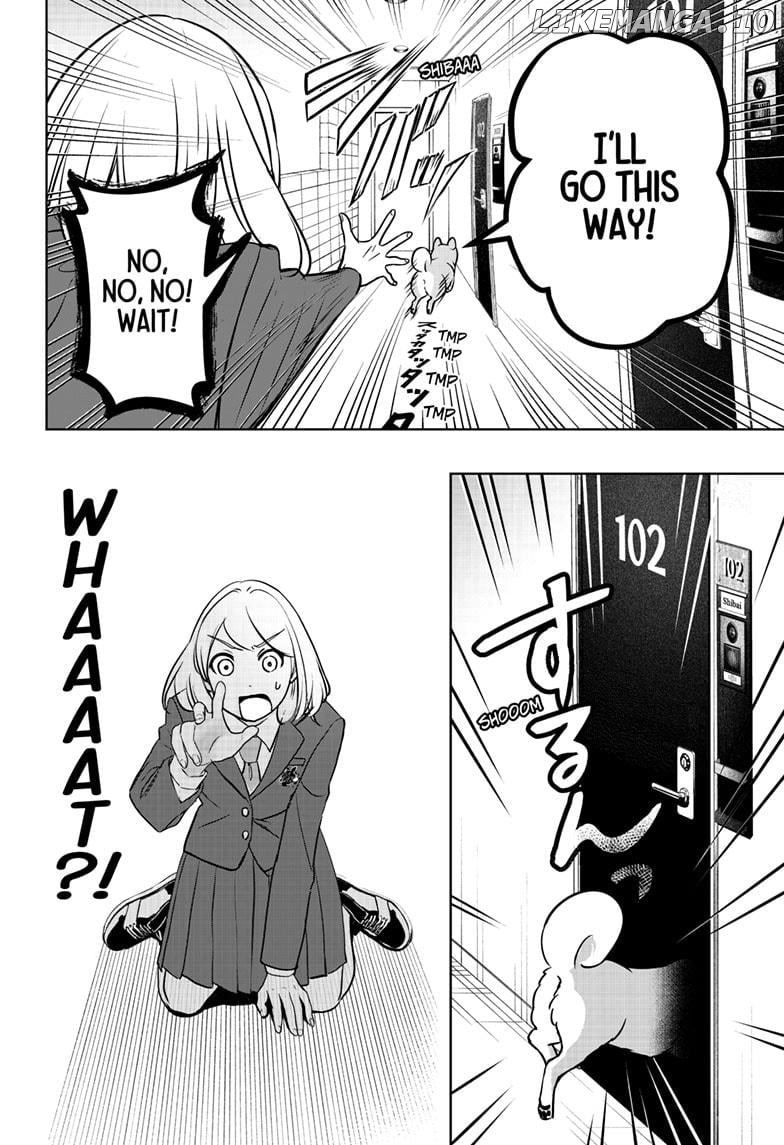 Shiba Inu Rooms Chapter 10 - page 6