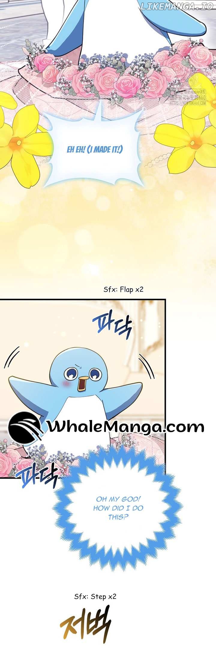 The Crazy Killer Whale’s Favourite Penguin Chapter 25 - page 28