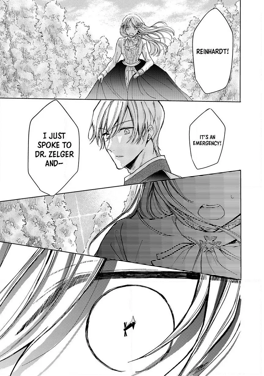 Ouhi-sama wa Rikon shitai - Isekai kara Seijo-sama ga Kita no de, Mou Oyaku Gomen desu wa ne? Chapter 14.2 - page 8