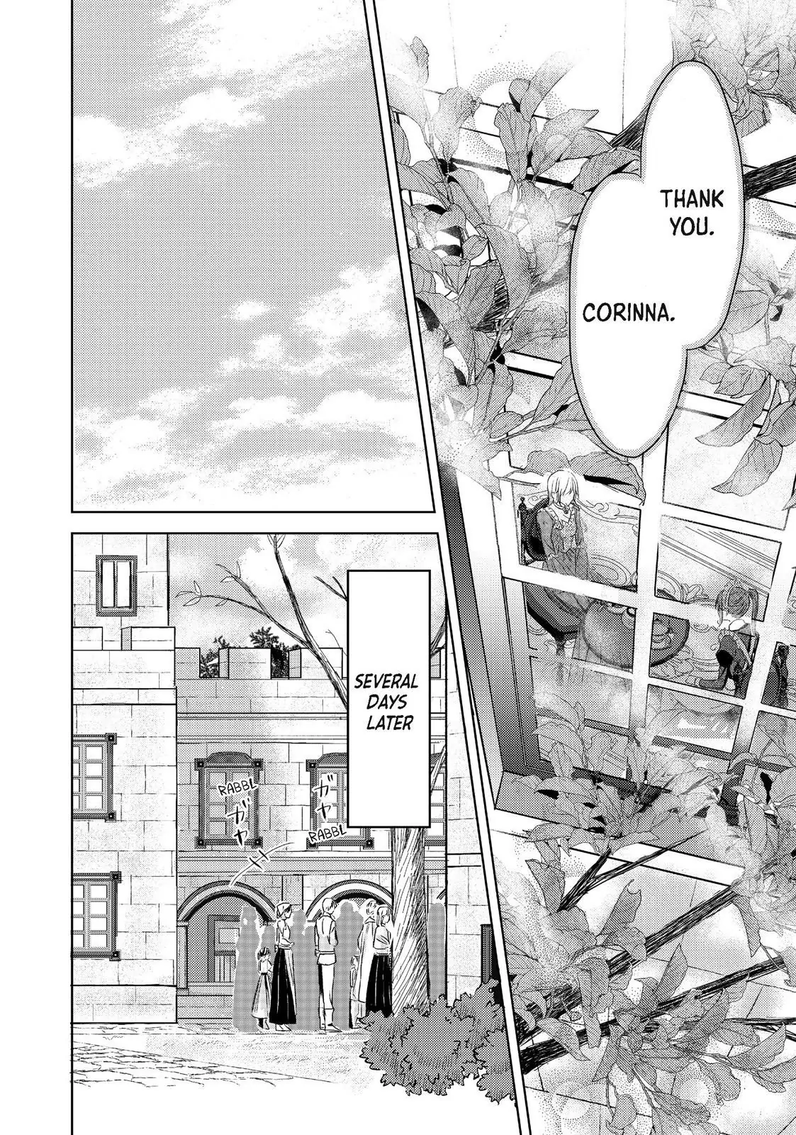 Ouhi-sama wa Rikon shitai - Isekai kara Seijo-sama ga Kita no de, Mou Oyaku Gomen desu wa ne? Chapter 17.1 - page 8