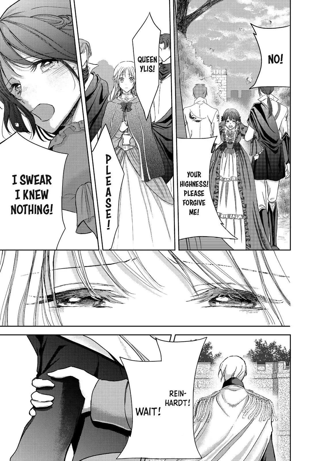 Ouhi-sama wa Rikon shitai - Isekai kara Seijo-sama ga Kita no de, Mou Oyaku Gomen desu wa ne? Chapter 19.1 - page 3