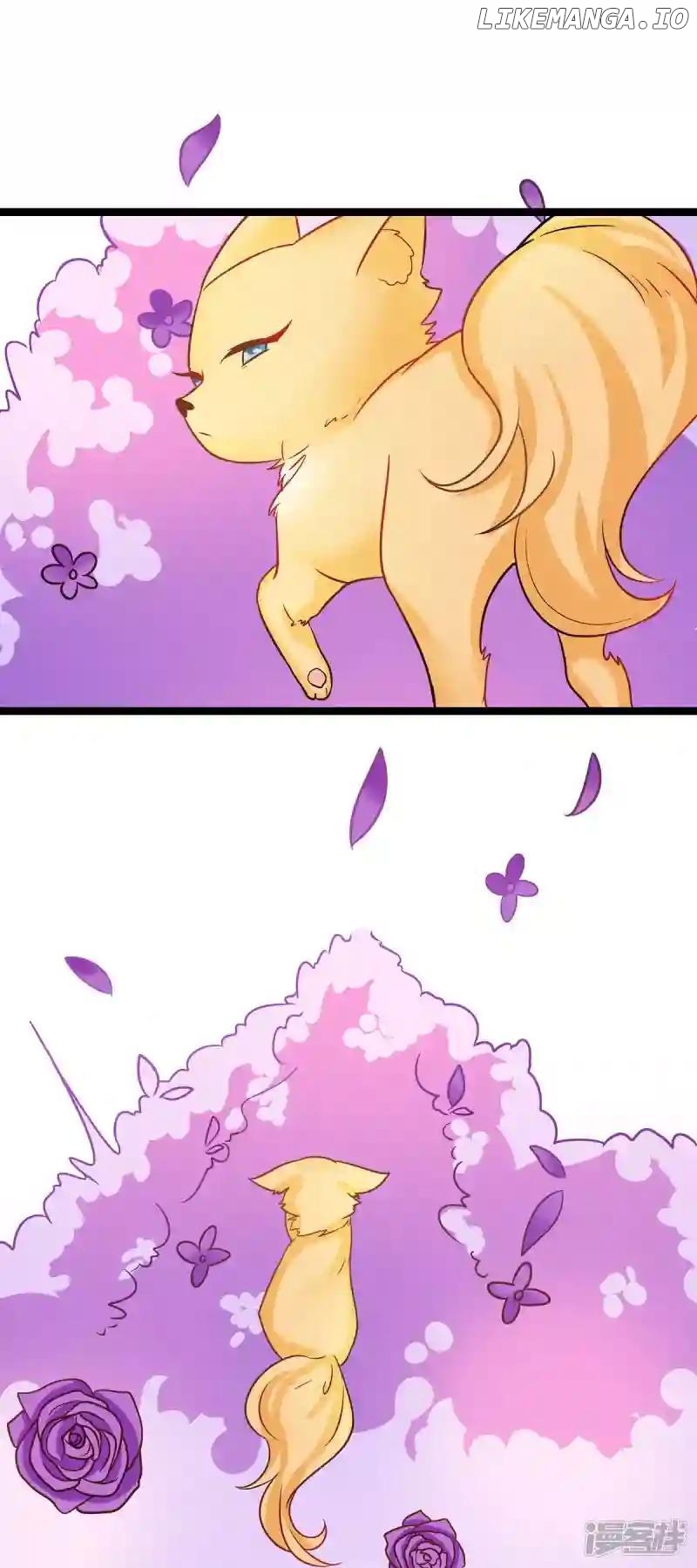 Special Agent Is the Mad Concubine: The Exceptional Cultivating Perfection Chapter 37 - page 12