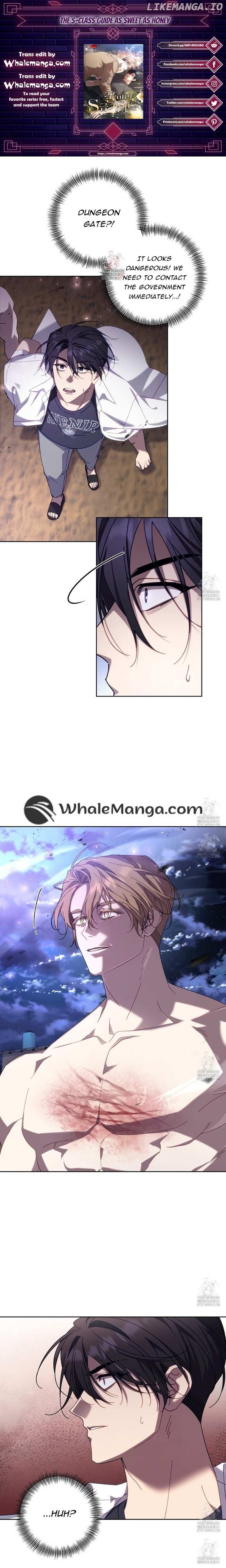 The S-Class Guide as Sweet as Honey Chapter 15 - page 1