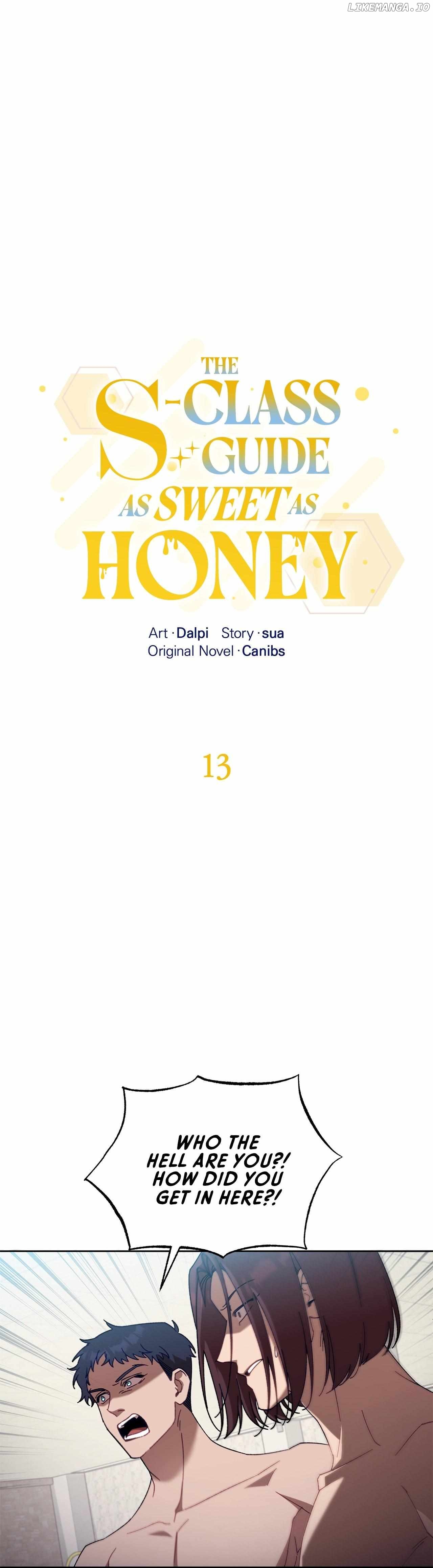 The S-Class Guide as Sweet as Honey Chapter 13 - page 13