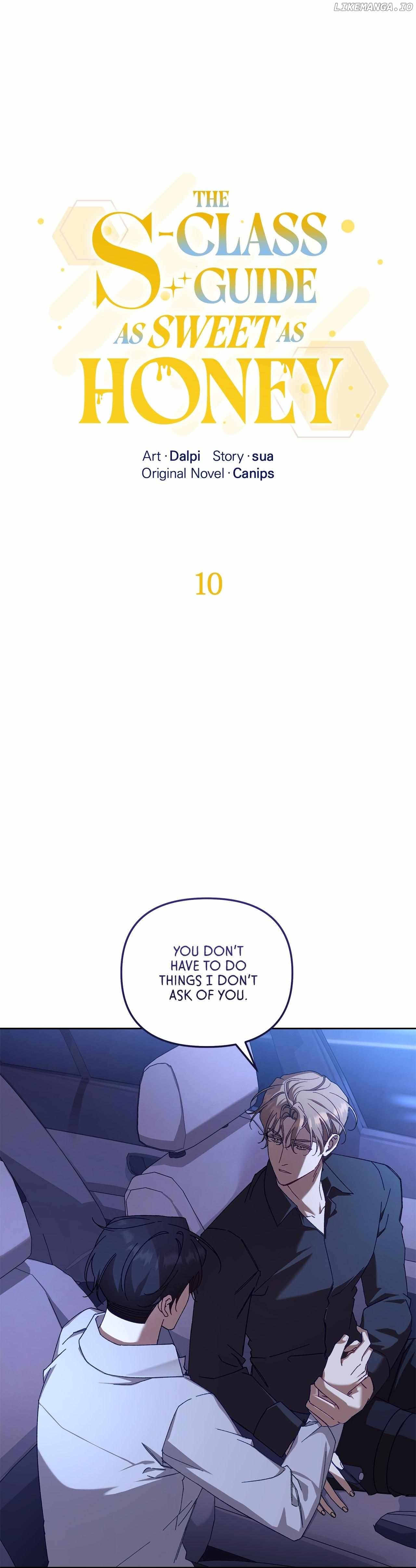 The S-Class Guide as Sweet as Honey Chapter 10 - page 1