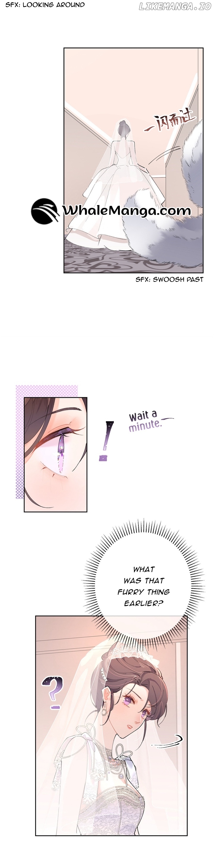 Her Marriage Was Called Off at Daytime, the Cutely Fierce Commander Asked Her For a Hug at Night Chapter 2 - page 3