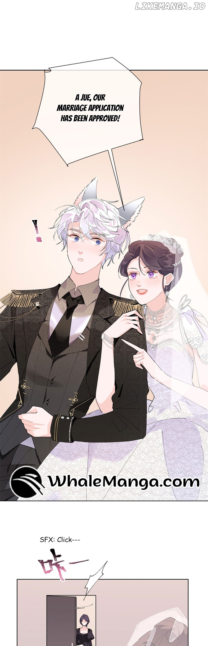 Her Marriage Was Called Off at Daytime, the Cutely Fierce Commander Asked Her For a Hug at Night Chapter 4 - page 3