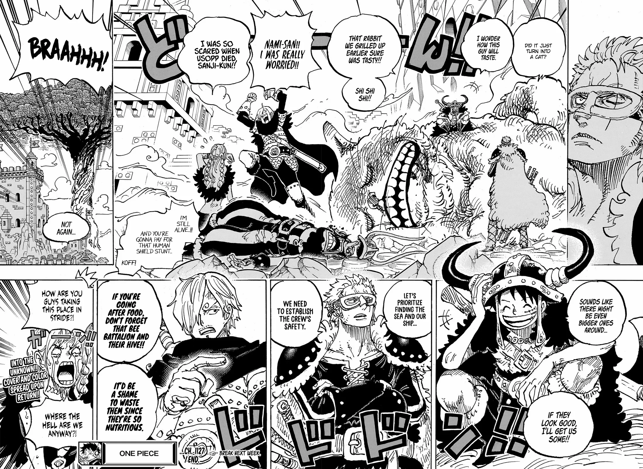 One Piece Chapter 1127 - page 14