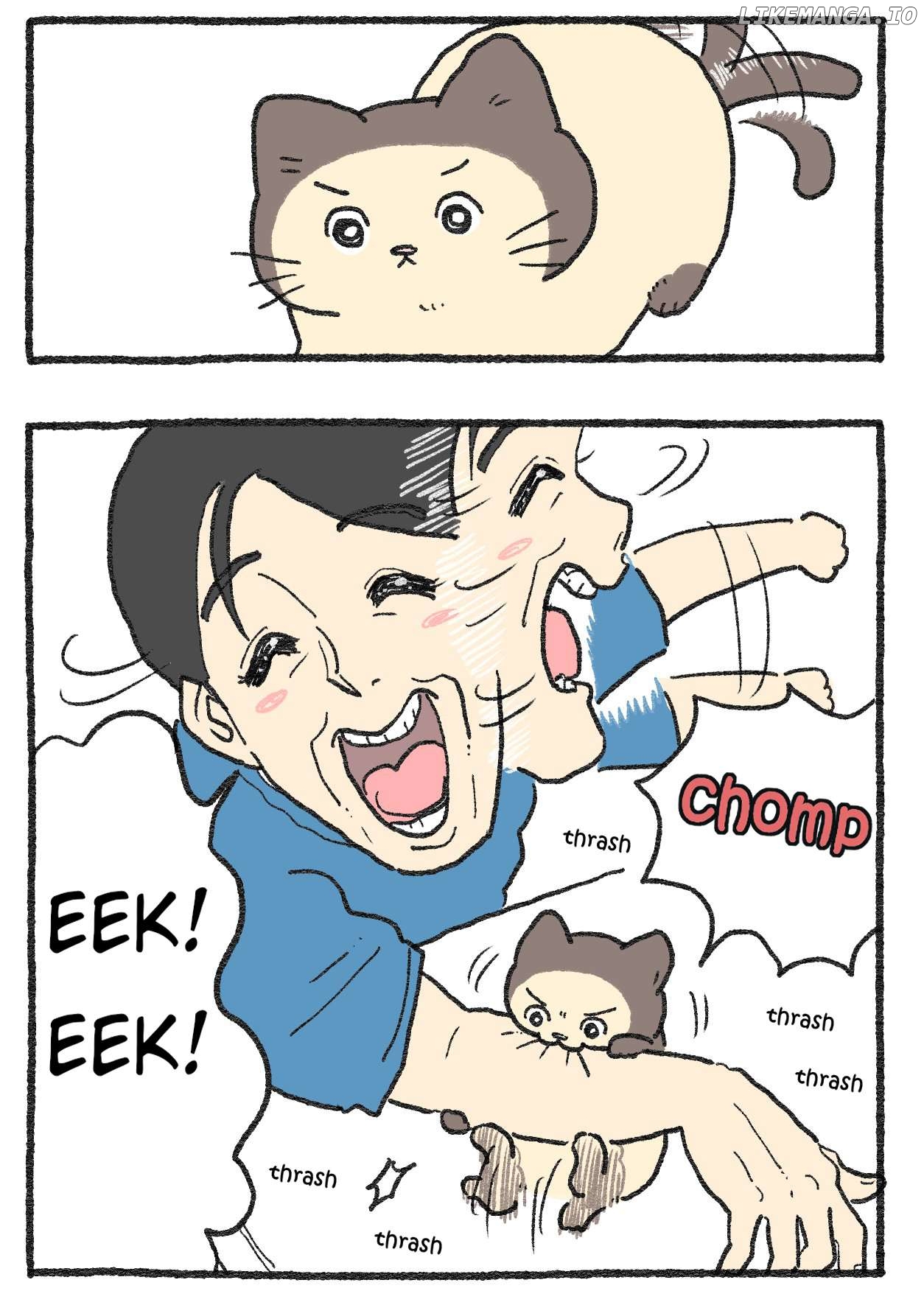 The Old Man Who Was Reincarnated As A Cat Chapter 565 - page 2