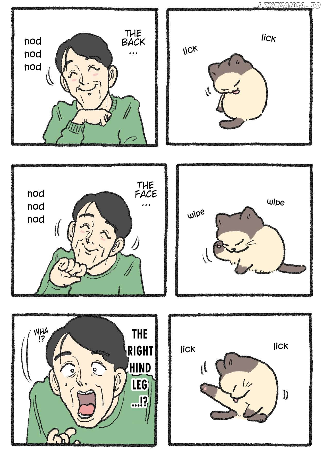 The Old Man Who Was Reincarnated As A Cat Chapter 577 - page 1