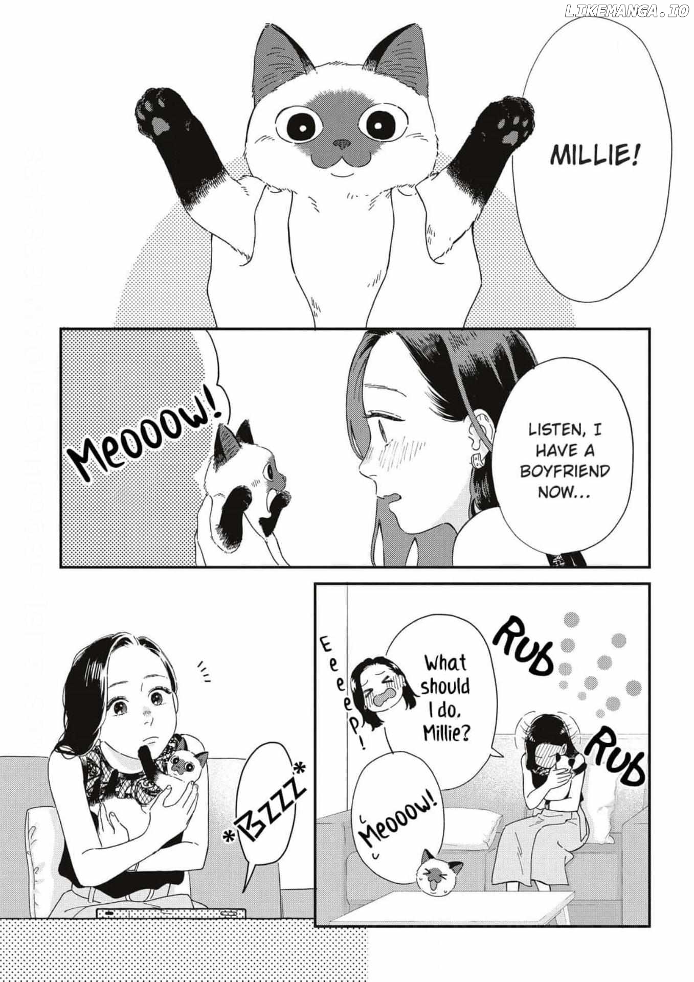 Since When Do Guys Find Divorcees Attractive ? Chapter 11 - page 13