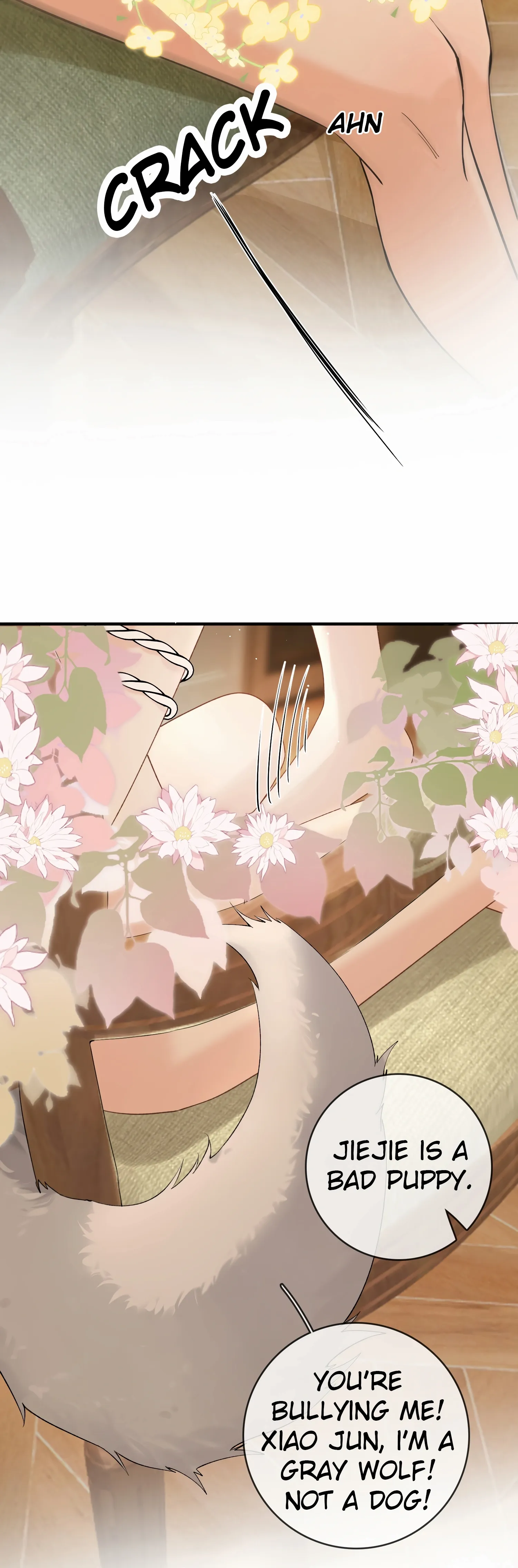 Lang Xiaojie He Ta De Huli Meimei Chapter 38.2 - page 20