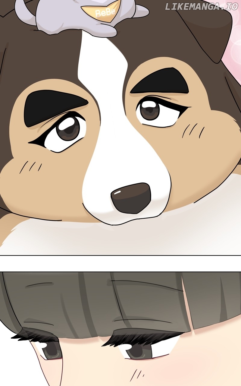 The Dog Diaries Chapter 175 - page 42