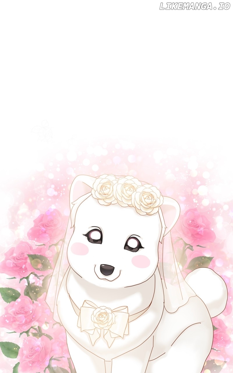 The Dog Diaries Chapter 176 - page 45