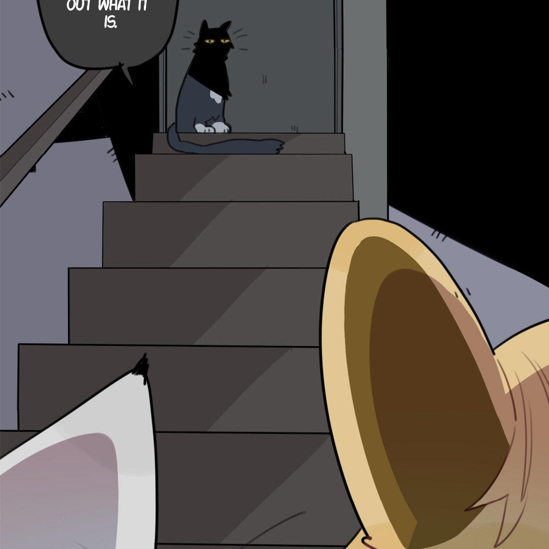 Catman and Dogman Chapter 258 - page 11
