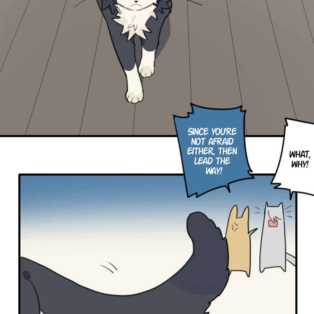 Catman and Dogman Chapter 258 - page 8