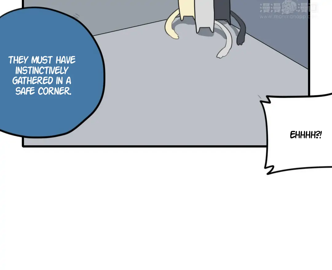 Catman and Dogman Chapter 270 - page 22