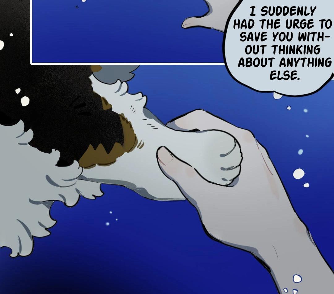 Catman and Dogman Chapter 301 - page 39