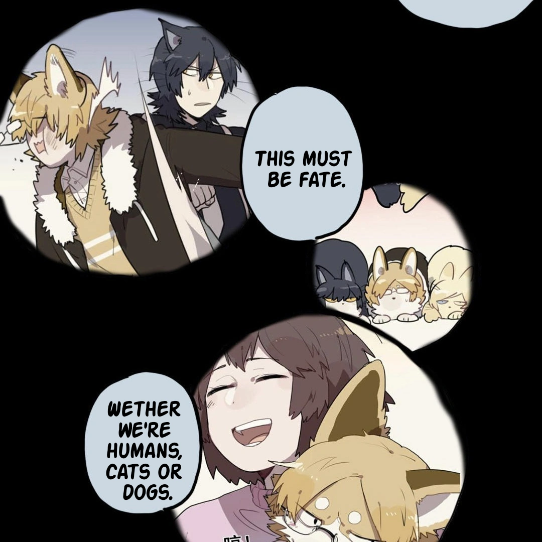 Catman and Dogman Chapter 301 - page 41