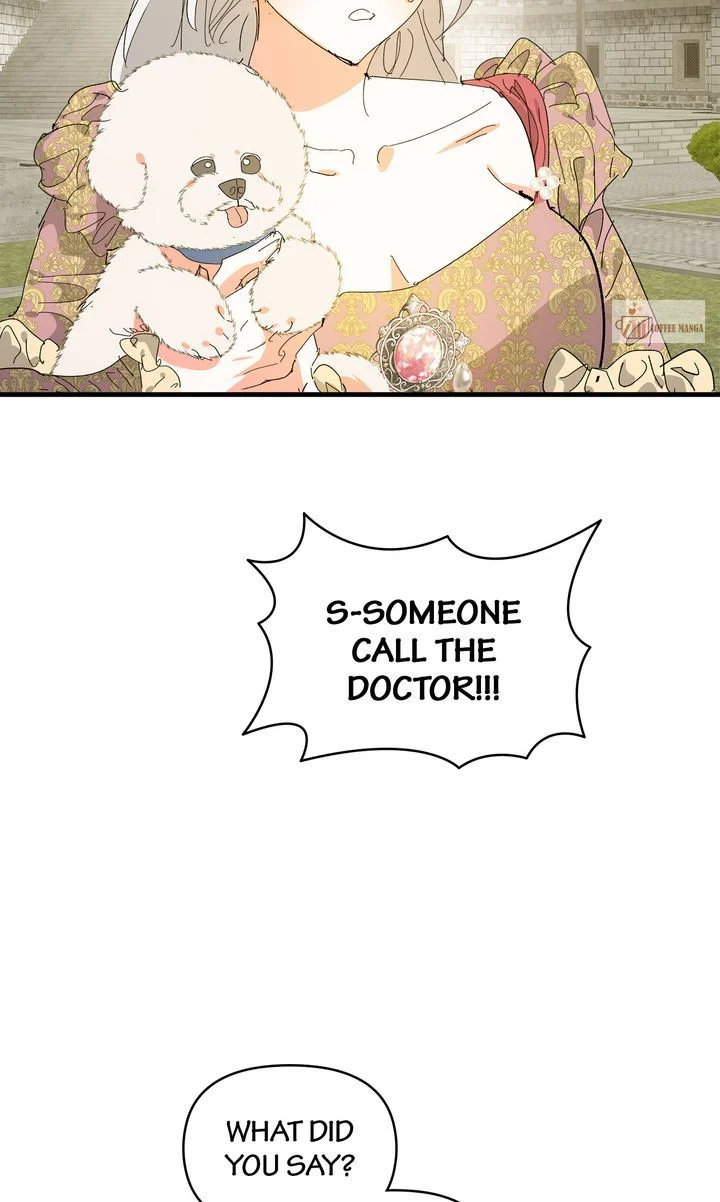 If You Want a Fake Sister Chapter 65 - page 2