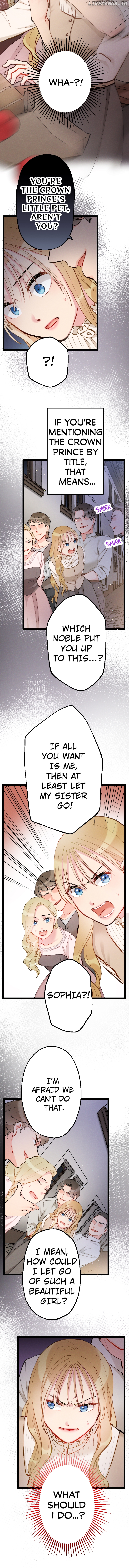 The Crown Prince's Secretary: From Red-Light to Royalty Chapter 20 - page 12