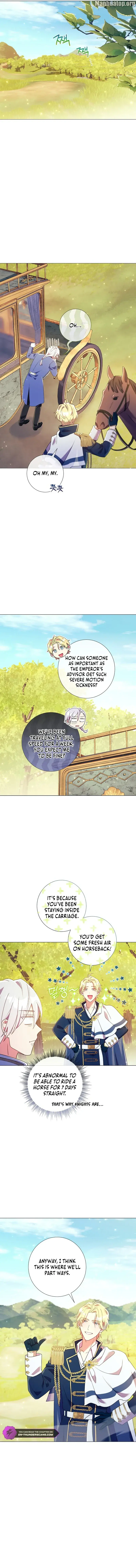 How Can There be a Divorce When We Haven’t Even Married, Your Majesty? Chapter 19 - page 8