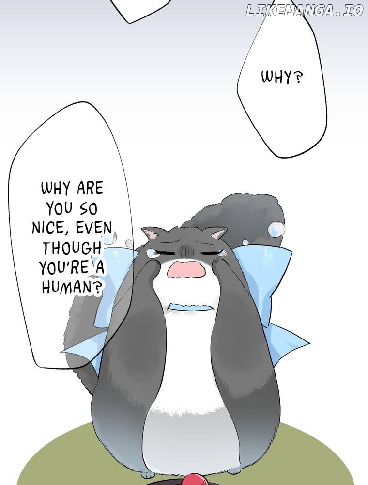 I Was a Sacrifice but Now I'm a Consort to a God?! ~All the Princesses are Fluffy~ Chapter 3 - page 24