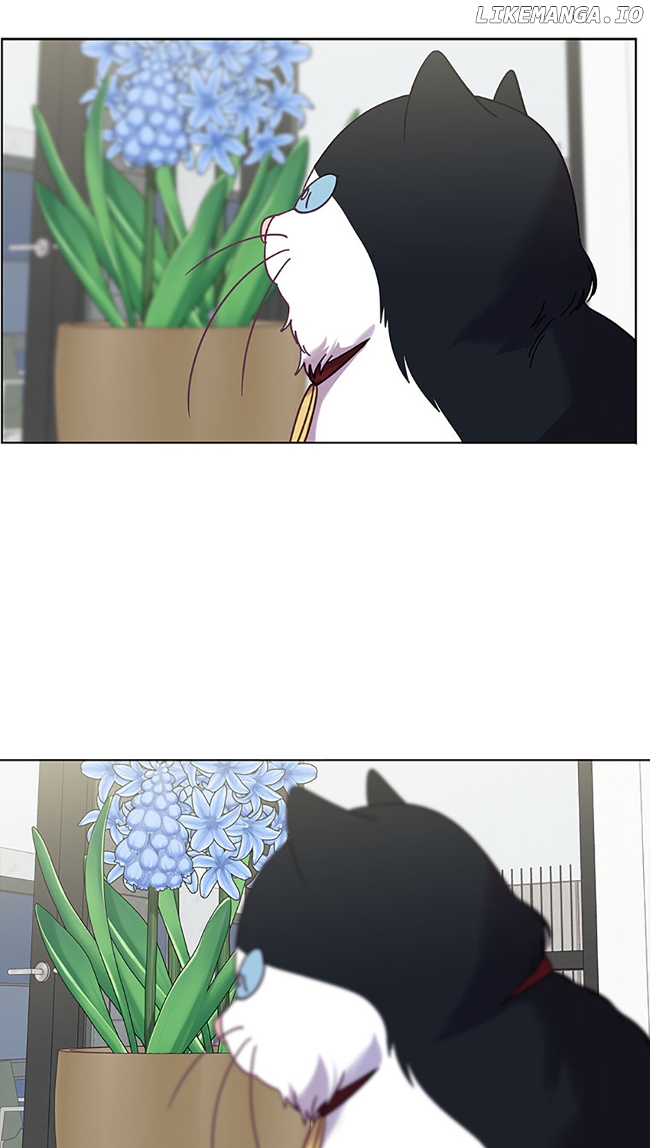 Welcome to Horong Café [Official] Chapter 24 - page 34