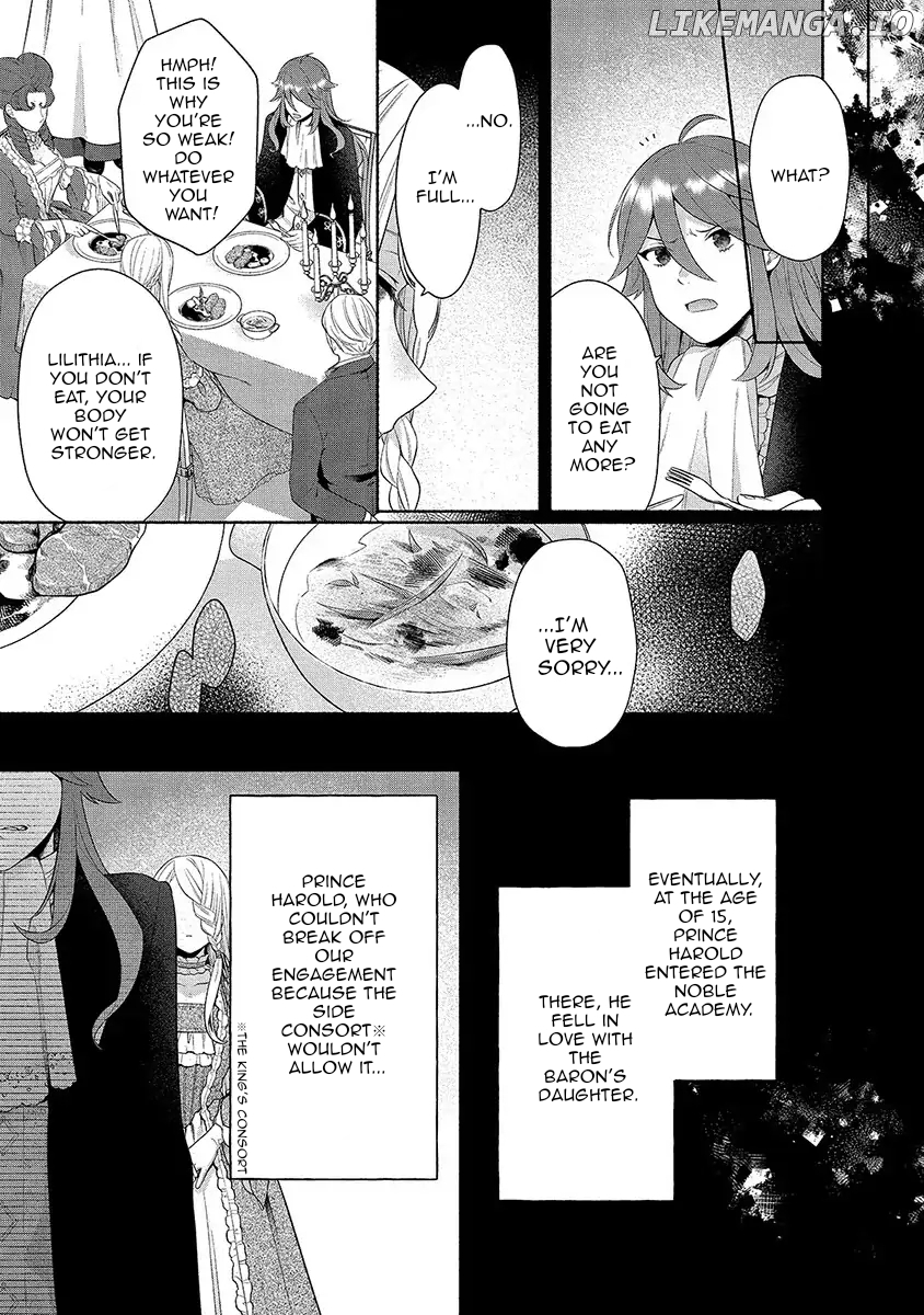 The Scarred Princess's Pursuit of Happiness Chapter 1 - page 29