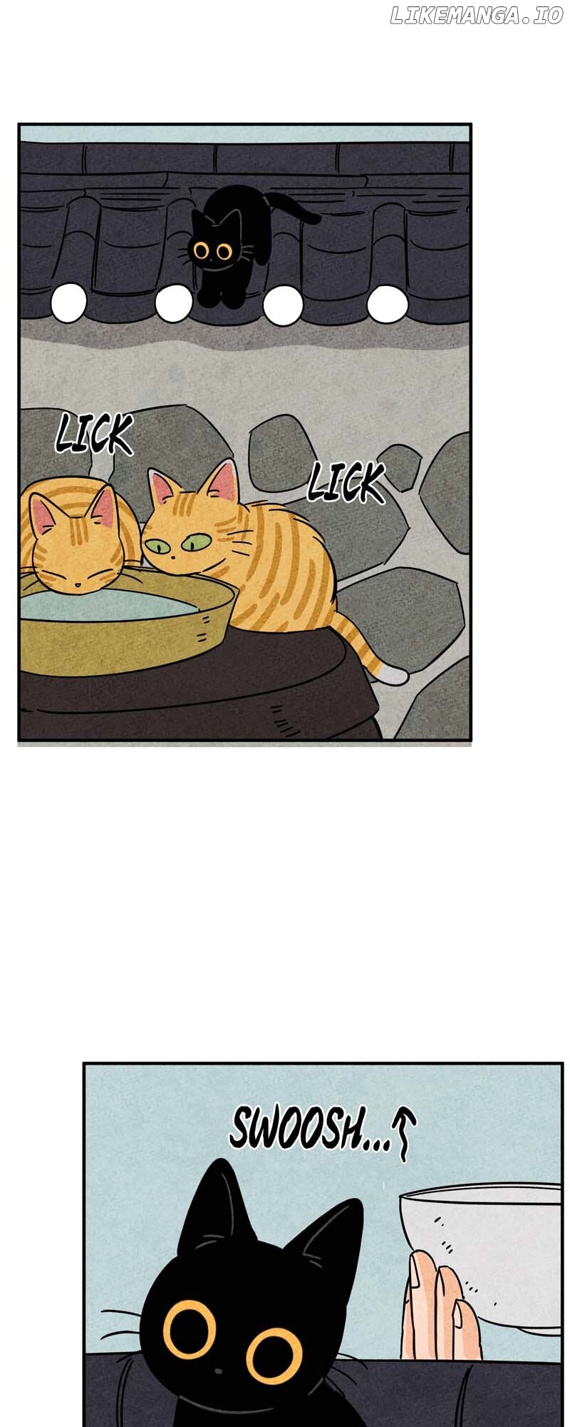 The Tale Of Goldiluck, The Black Kitten Chapter 91 - page 14