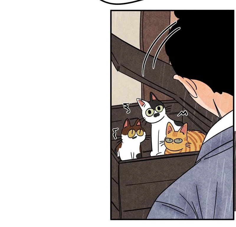 The Tale Of Goldiluck, The Black Kitten Chapter 92 - page 29