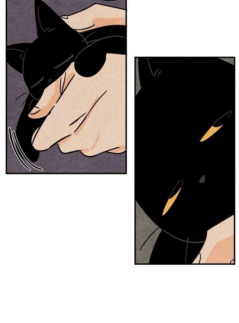 The Tale Of Goldiluck, The Black Kitten Chapter 92 - page 52