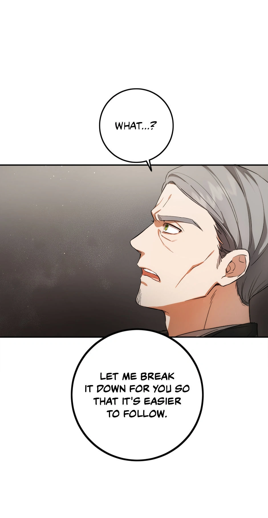 The Heiress's Double Life Chapter 84 - page 65