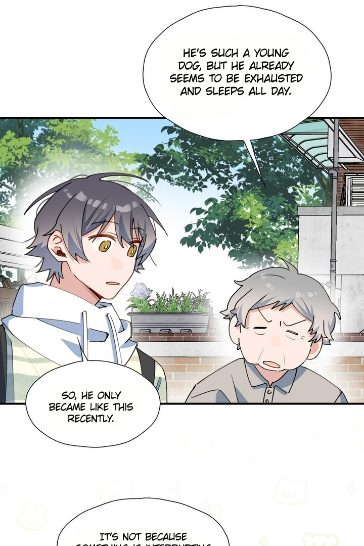 Lord Demon King Always Teases Me Chapter 49 - page 11