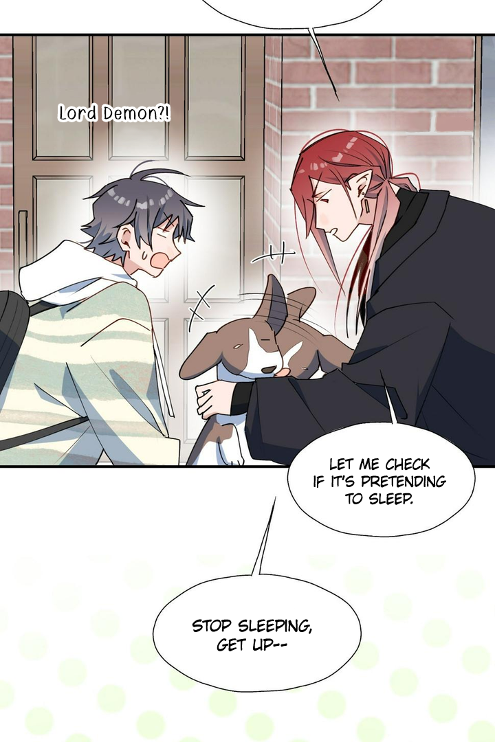 Lord Demon King Always Teases Me Chapter 49 - page 15