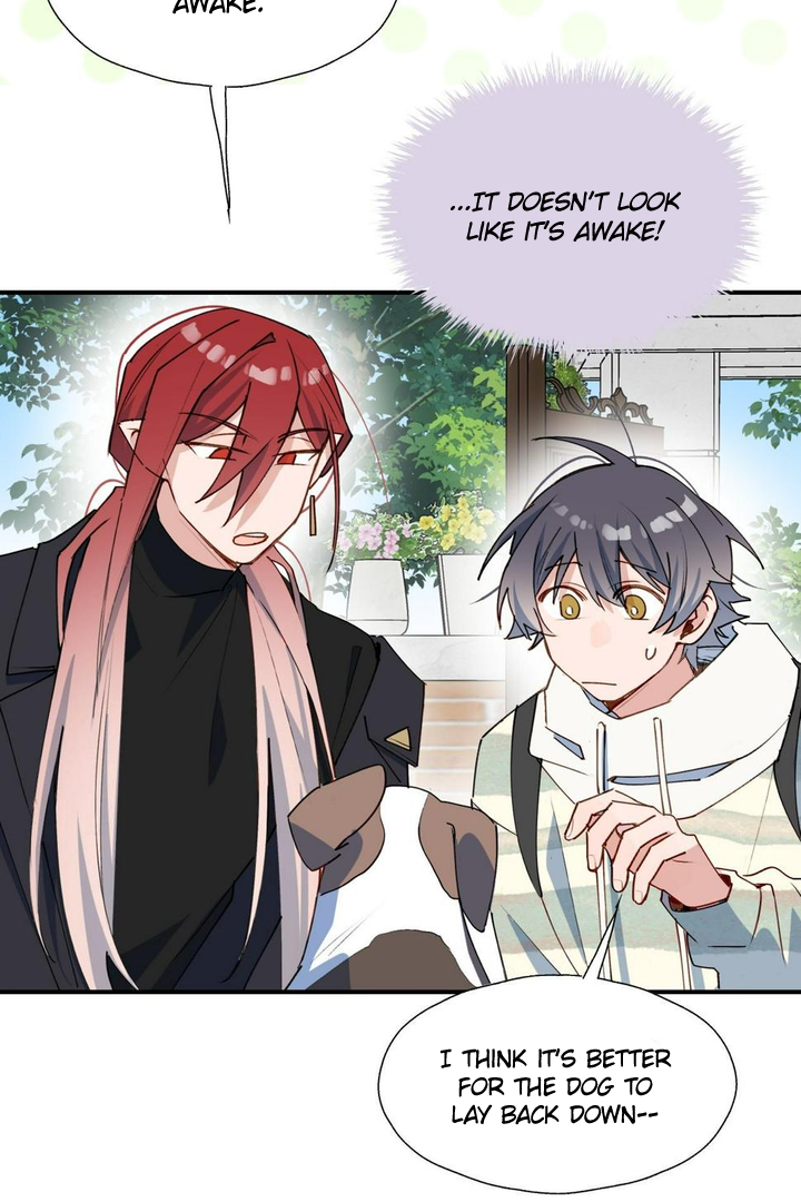 Lord Demon King Always Teases Me Chapter 49 - page 17