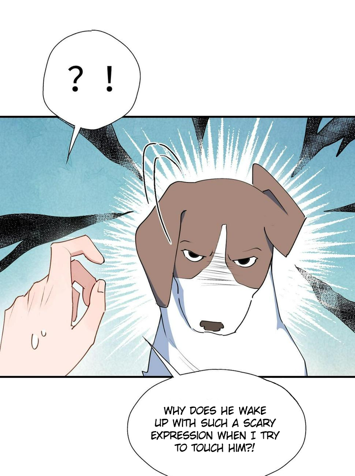 Lord Demon King Always Teases Me Chapter 49 - page 18