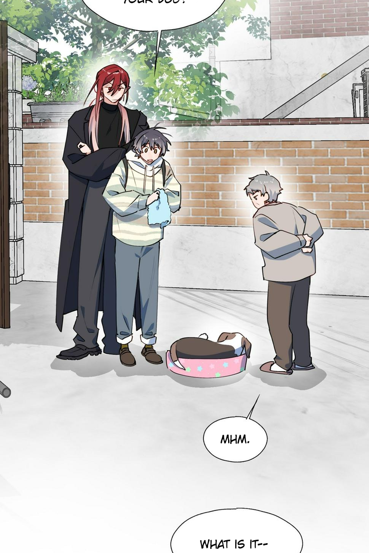 Lord Demon King Always Teases Me Chapter 49 - page 3