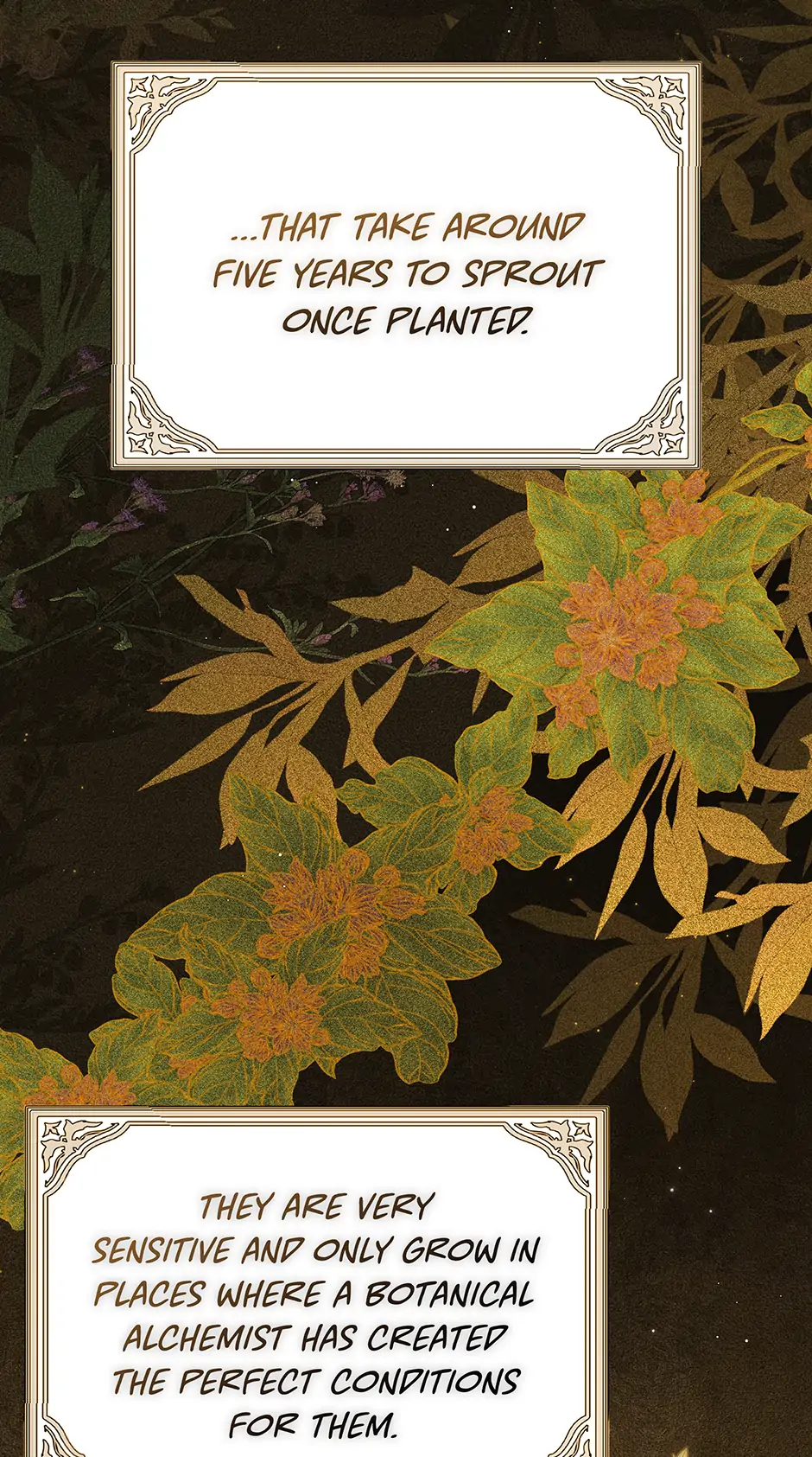 Lady Baby Is a Revenge Maker Chapter 36 - page 3