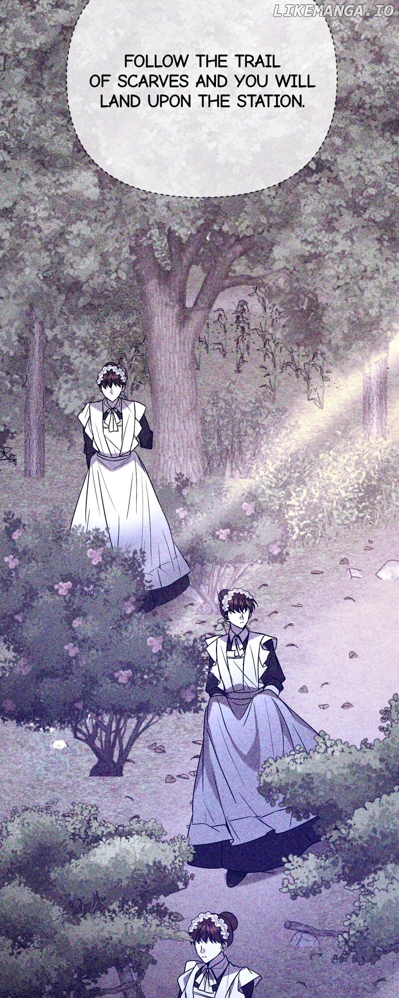 The Handmaiden Dreams at Sunset Chapter 50 - page 44