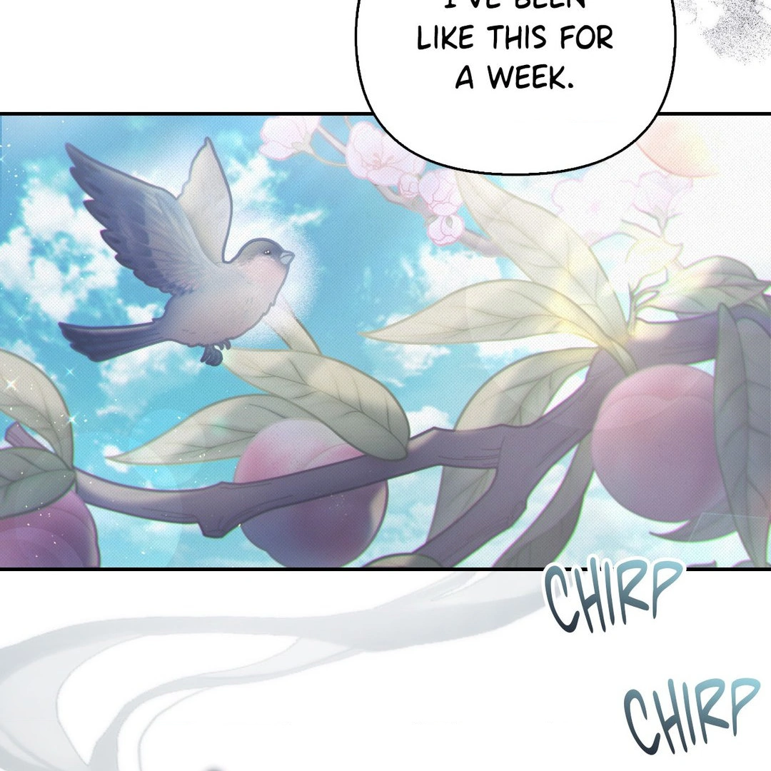 The Queen's Secret Lessons Chapter 42 - page 11