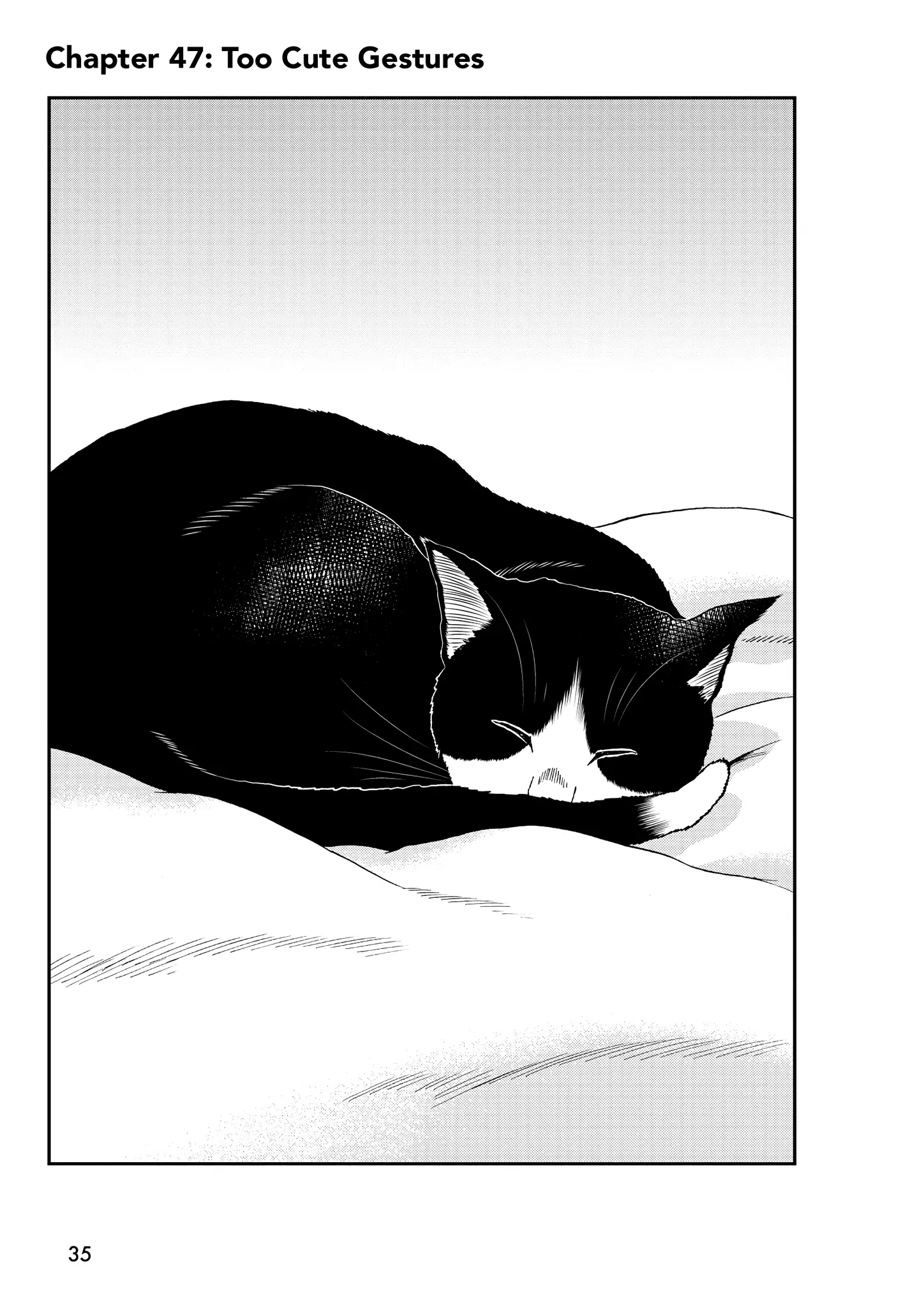 A Gamer Living With A Cat Chapter 47 - page 1