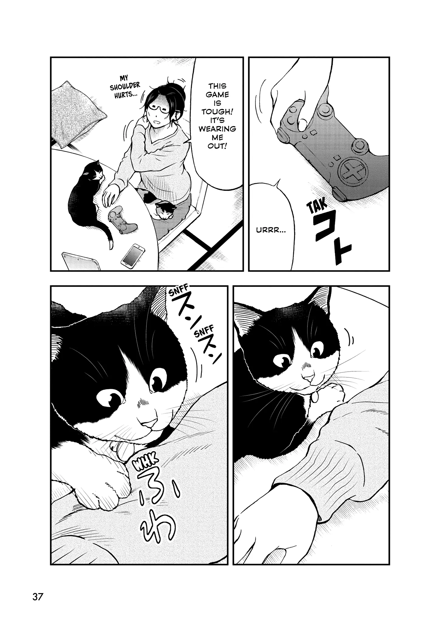 A Gamer Living With A Cat Chapter 47 - page 3