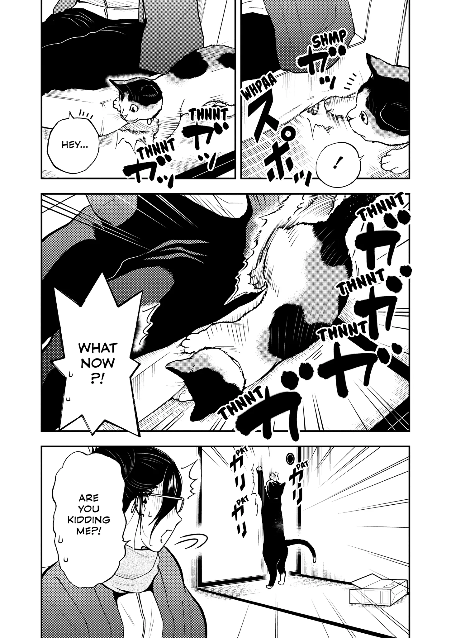 A Gamer Living With A Cat Chapter 50 - page 8