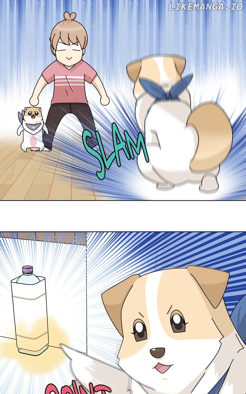 The Dog Diaries Chapter 181 - page 62