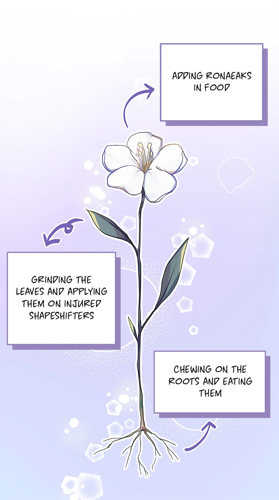 Bluebird Lady and The White Lion Family Chapter 26 - page 39